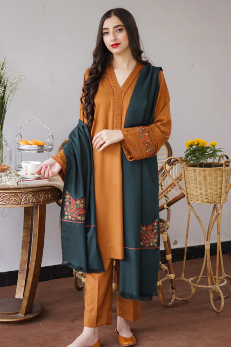 FJB20077 Dhanak Winter 3 Piece Fully Embroidered