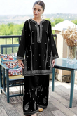 FJBW2075 Lawn 2 Piece fully Embroidered Unstitched