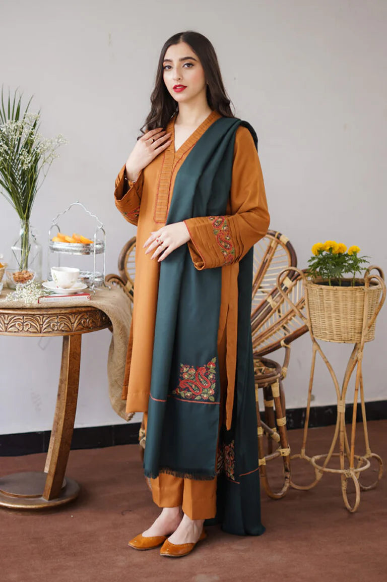FJB20077 Dhanak Winter 3 Piece Fully Embroidered